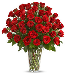 50 Red Roses