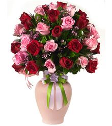 Buy Sweet Connection for $ 125 at FloraUAE