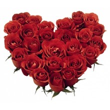 50 Roses Heart