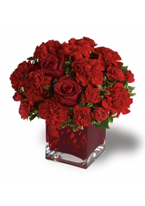Send red rose and carnations to Dubai UAE