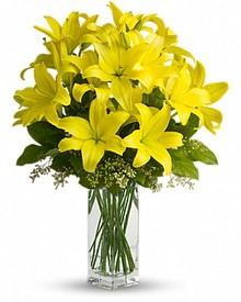 Yellow Lilies