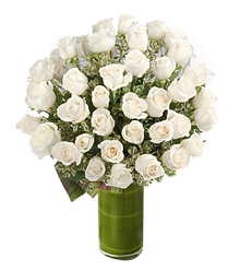 White Roses Bonanza