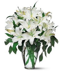 White Lilies Love
