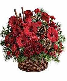Red Basket