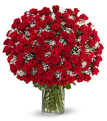 Buy 200 Red Roses for $ 499 at FloraUAE