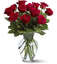 Buy Spendid Roses for $ 50 at FloraUAE