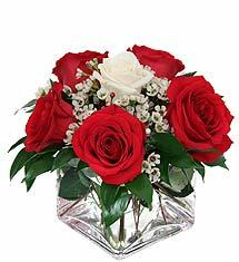 Buy Charming Red for $ 44 at FloraUAE